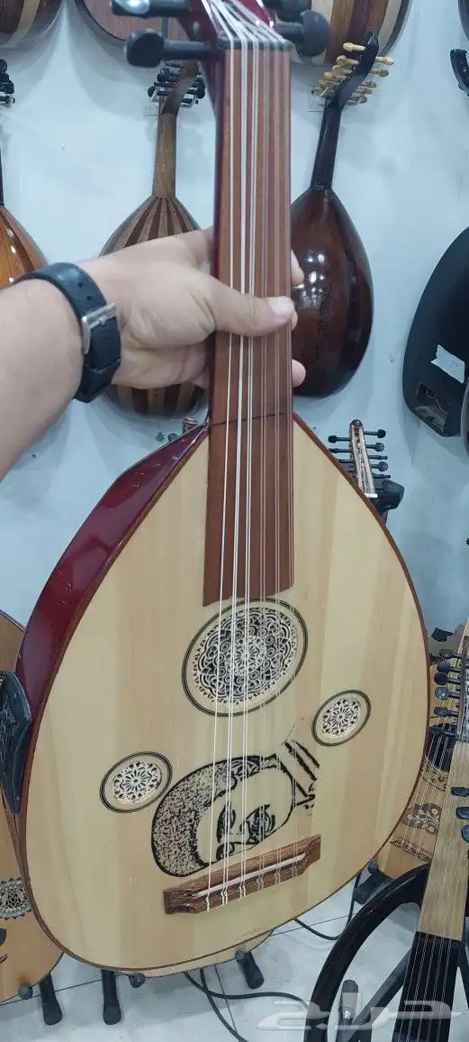 عود كهربائي للبيع 14