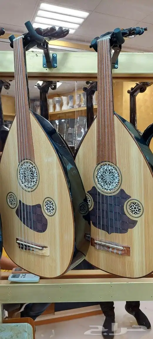 عود كهربائي للبيع 4