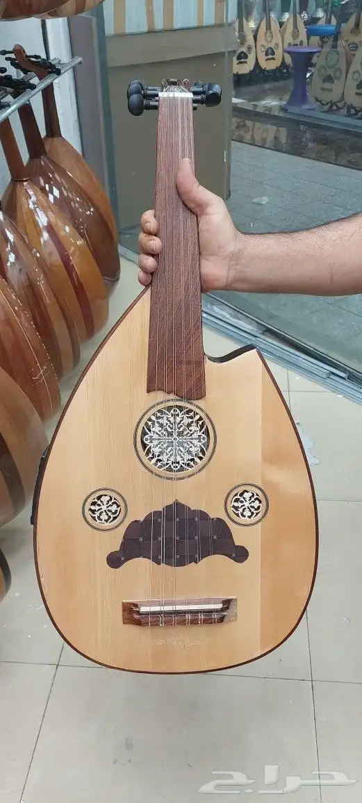 عود كهربائي للبيع 5