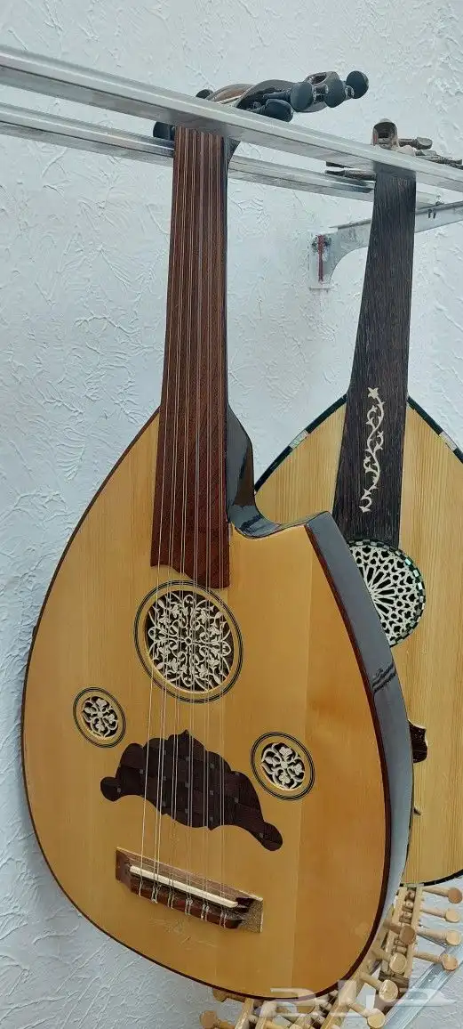 عود كهربائي للبيع 9