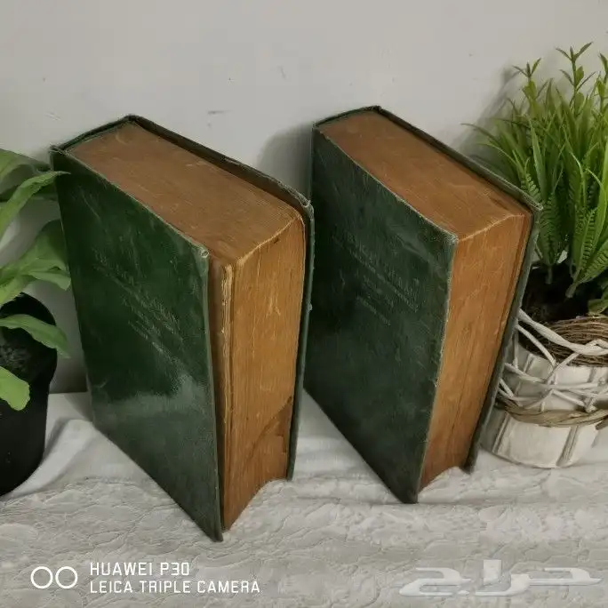 نسخة نادرة مترجمة من القرآن الكريم 2