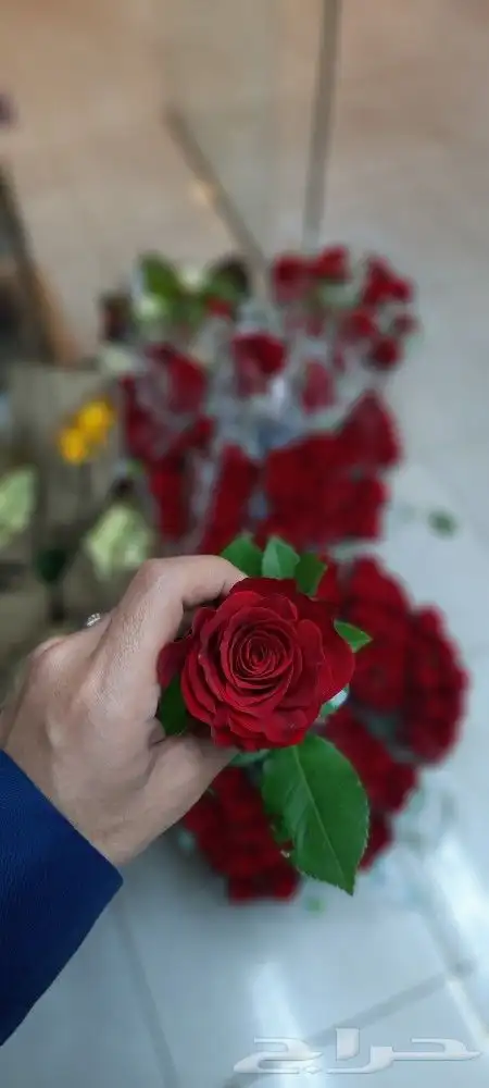 توصيل وتنسيق هدايا بجدة 8