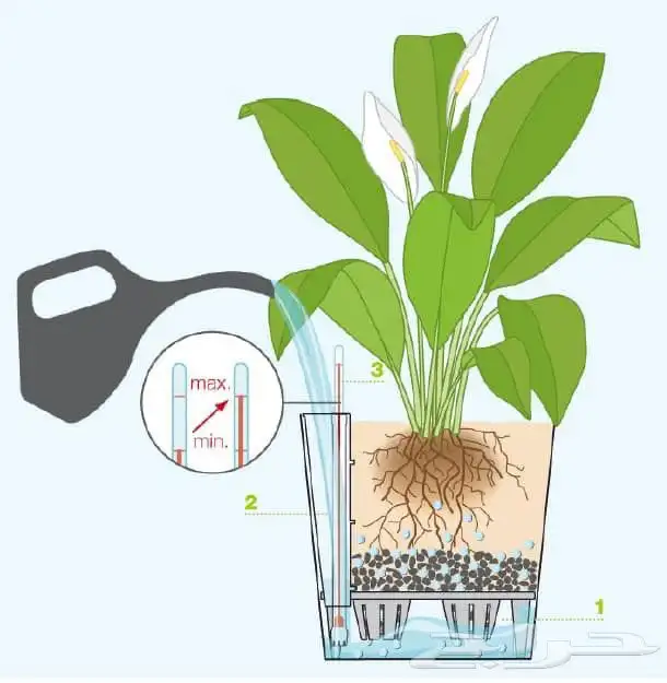 حجر للحدايق ومستلزمات الحدايق 27