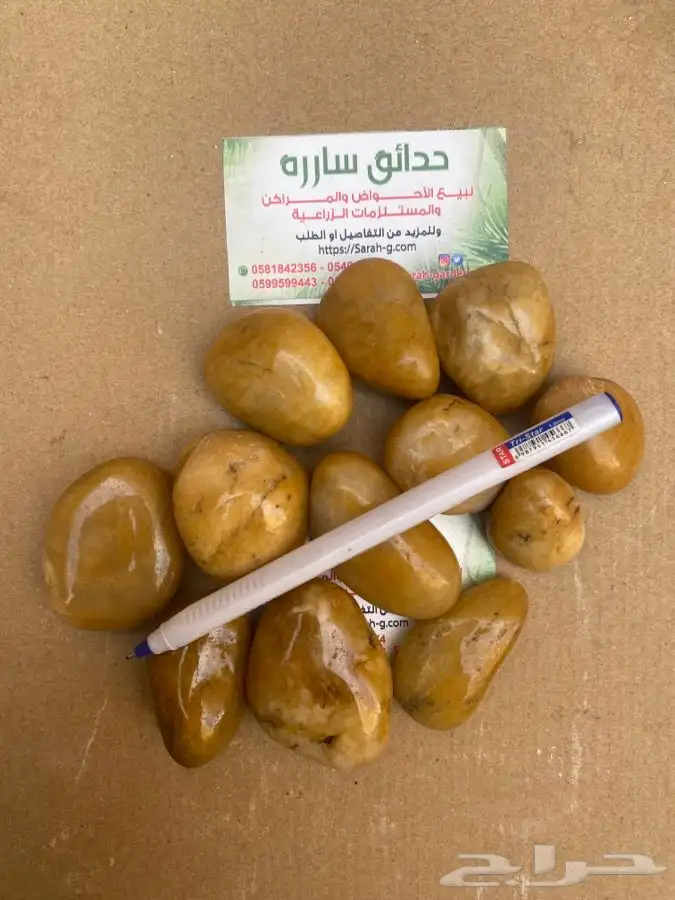 حجر للحدايق ومستلزمات الحدايق 14