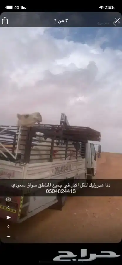 دنا هدروليك انقل الابل 1