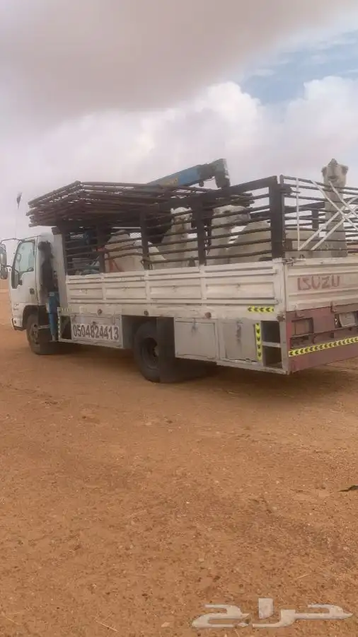 دنا هدروليك انقل الابل 4