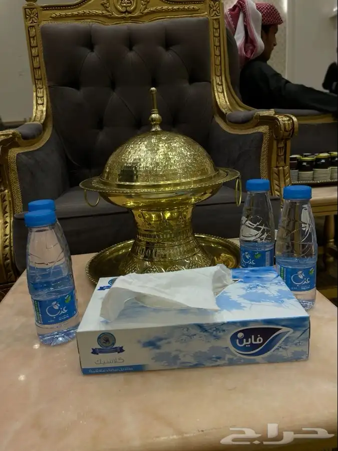 الإستقبال الملكي 8