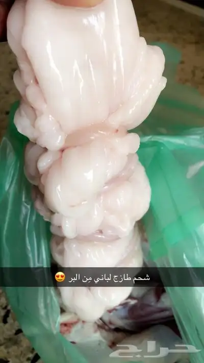 ذبايح حريه من البر مع الذبح والتوصيل 9
