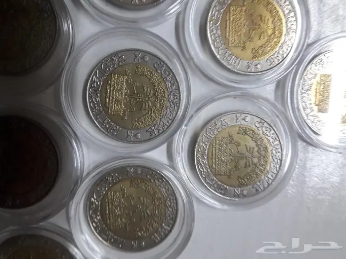 ريال المئوية المصمك 2