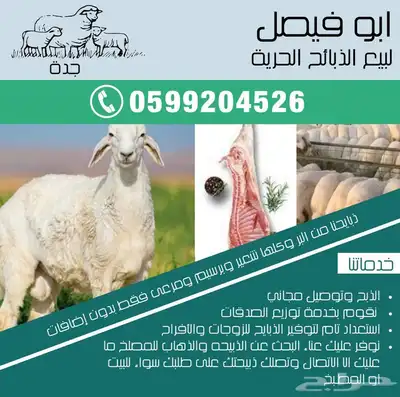 ذبايح حريه من البر مع الذبح والتوصيل 0