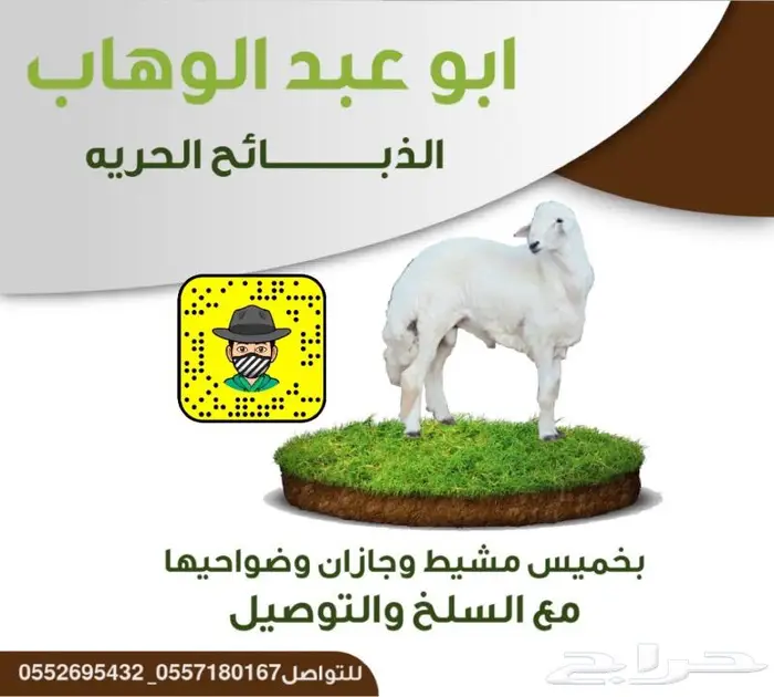 ذبايح بهم خرفان ورخال حريه من غنم شهران مع السلخ والتوصيل 10
