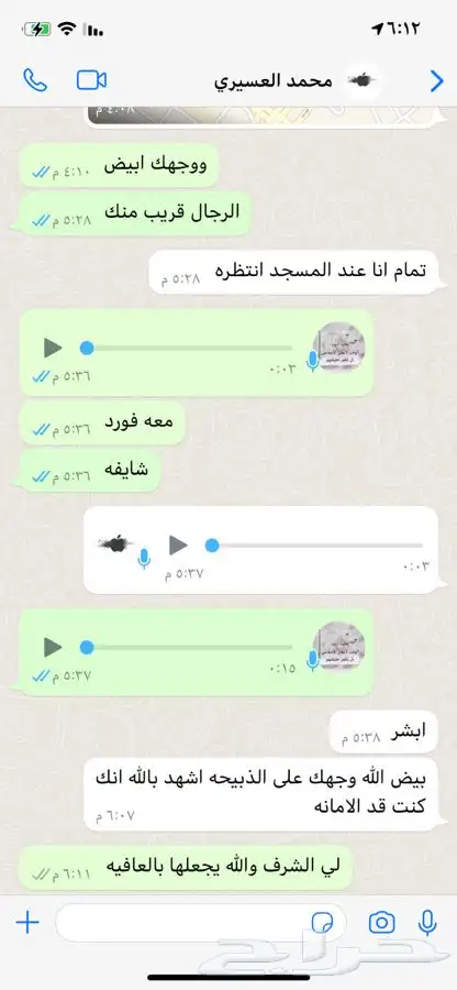 ذبايح تيوس ورخال درجة اولى والتقييم موجود 4