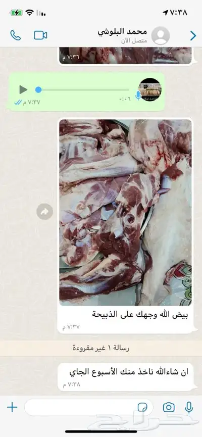 طليان ورخال درجه اولى ذبايح وتقييم الزباين موجود 4