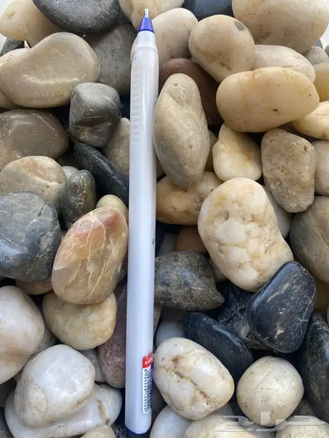 احواض حوض تربه بتمس تعليقات اكسورات حديقه بذور احجار حجر 62