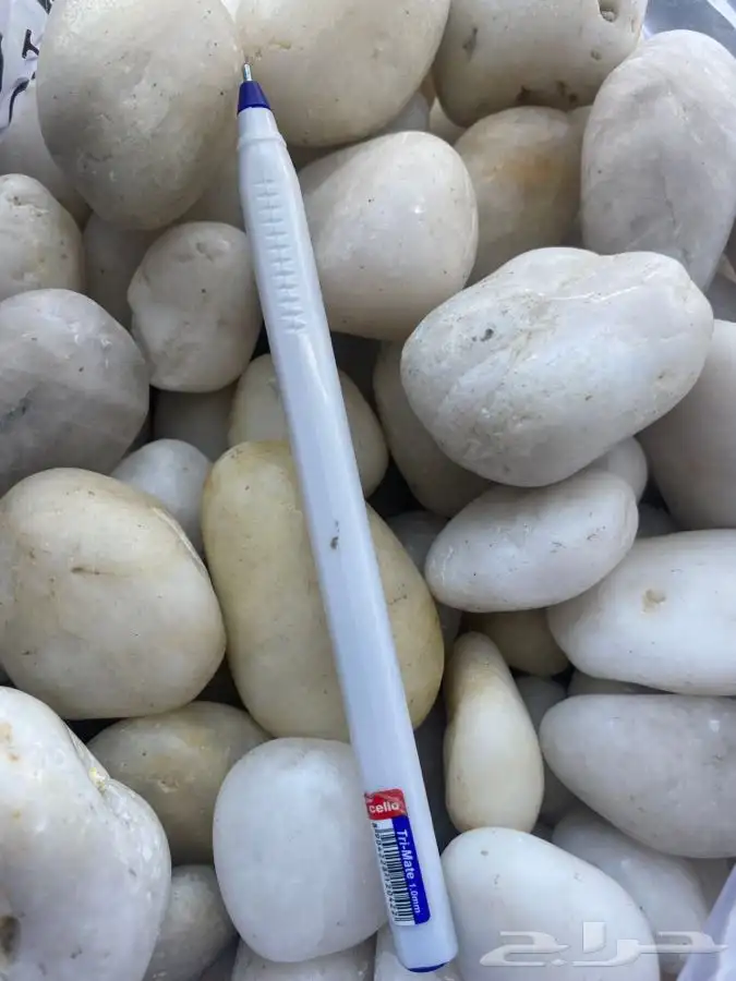 احواض حوض تربه بتمس تعليقات اكسورات حديقه بذور احجار حجر 64