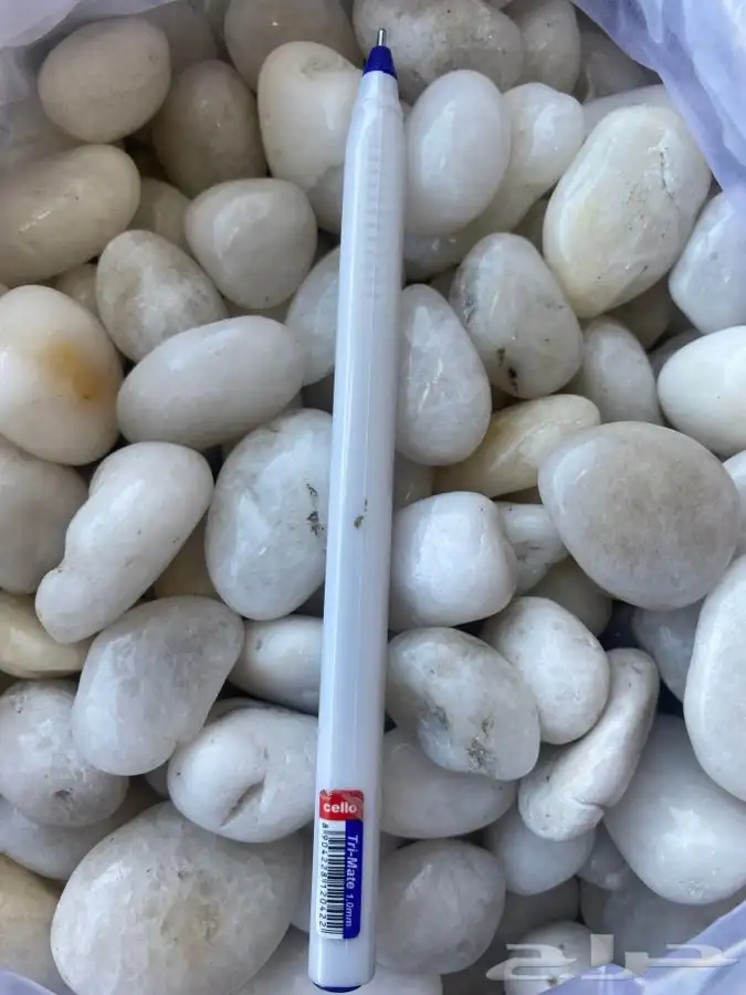 احواض حوض تربه بتمس تعليقات اكسورات حديقه بذور احجار حجر 65