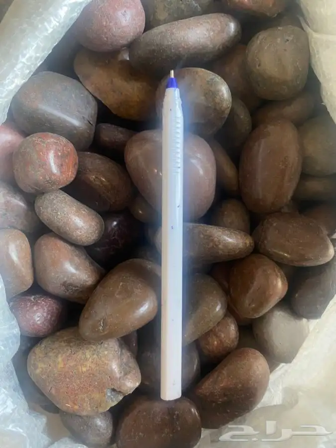 احواض حوض تربه بتمس تعليقات اكسورات حديقه بذور احجار حجر 55