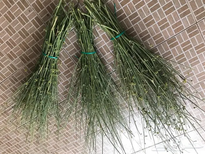 حزم مرخ للمندي والحنيذ 1