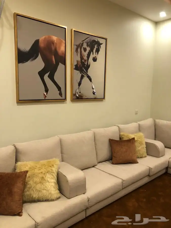 لوحات جدارية فاخره 14