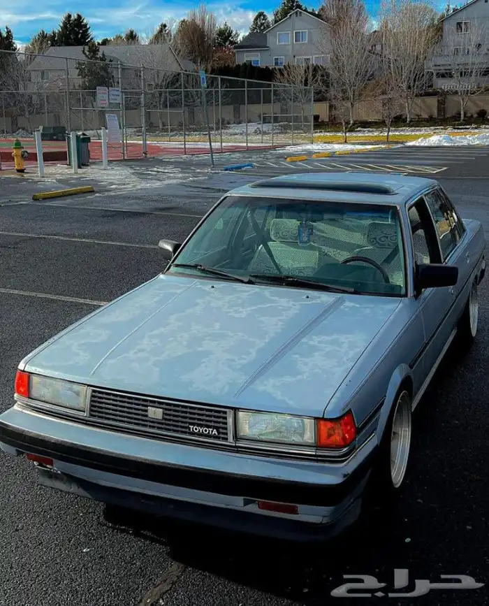 شلش كرسيدا 5