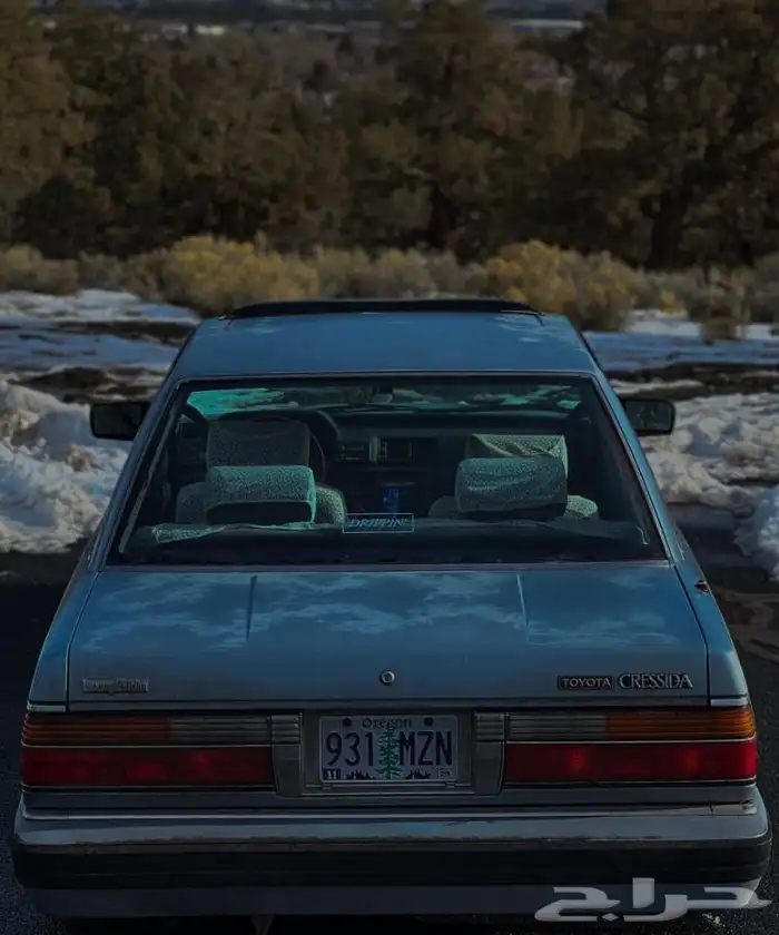 شلش كرسيدا 7