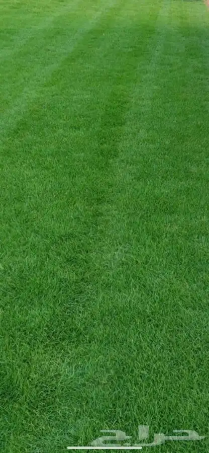 مشاتل التكامل لجميع الازهار والاشجار 0533351329 13