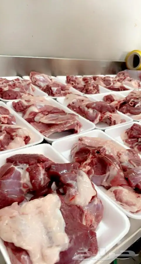 ذبائح الطائف وضواحيها بريه وسعرها مناسب بالنسبه للسوق 2