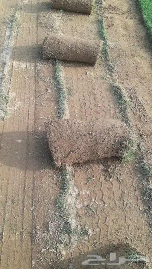 مشاتل التكامل لجميع الازهار والاشجار 0533351329 9