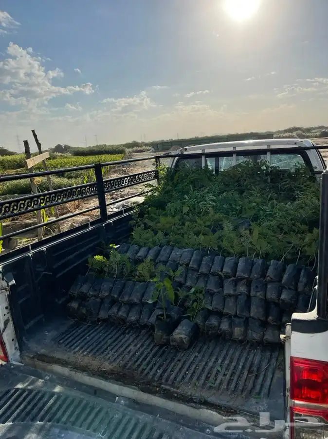 مشاتل التكامل لجميع الازهار والاشجار 0533351329 20