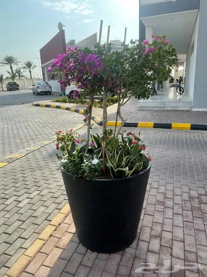 مشاتل التكامل لجميع انواع الاشجار و الشتلات 0533351329 24