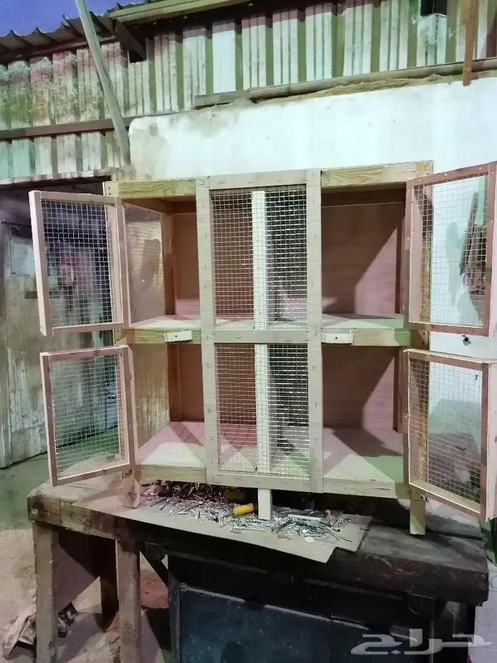 ينبع البحر 6