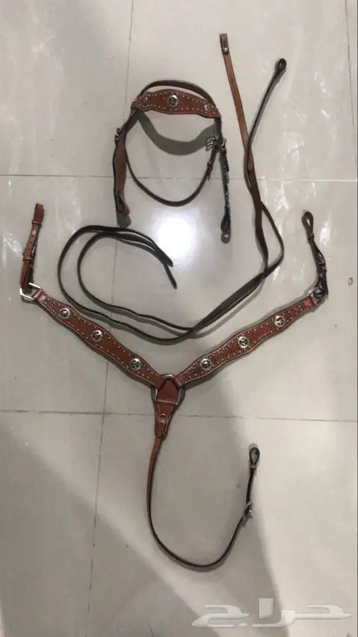 سرج كوبوي كاوبوي 31