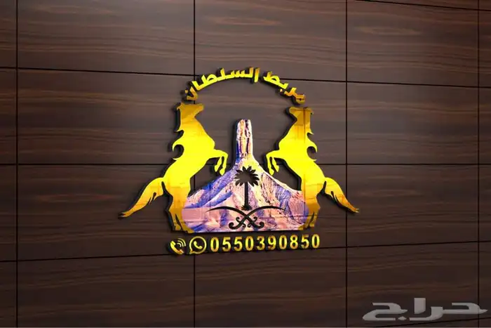 خيول وجمال وسيسي للإيجار  7