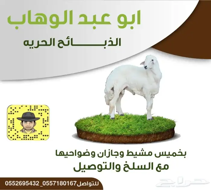 ذبايح خرفان ورخال حريه من غنم شهران مع سلخ وتوصيل ت التقيم 1