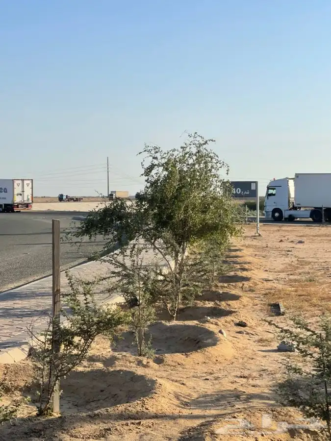 مشاتل التكامل الخضراء لجميع انوا الاشجار 0533351329 11