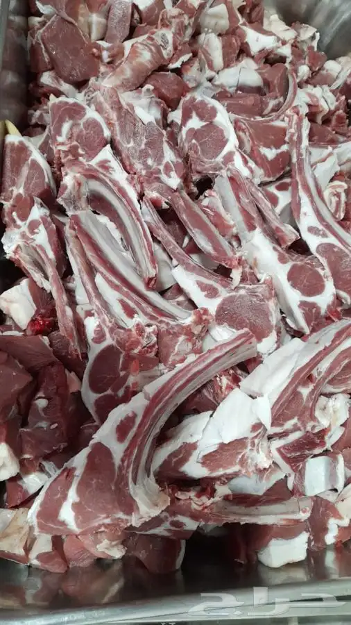 ذبايح جبره الشرط اذاحصلت في ذبائح شيء رجعها واخذ فلوسك مشاوي 8