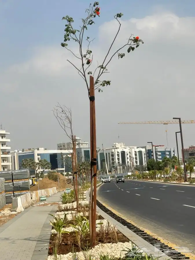 مشتل التكامل الخضراء 0533351329 25