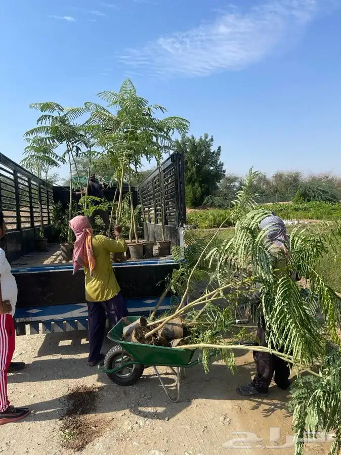 مشتل التكامل الخضراء 0533351329 62