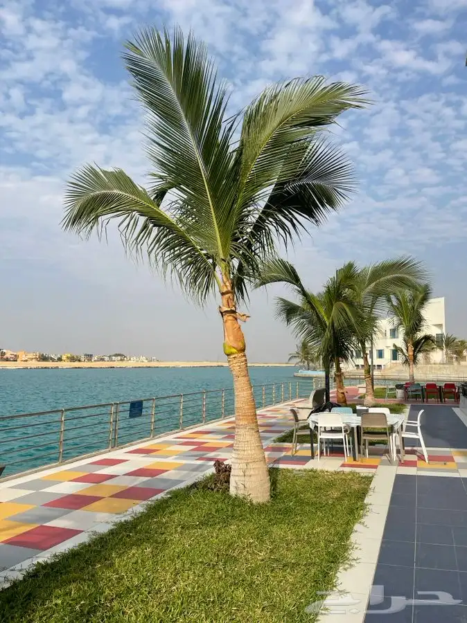 مشتل التكامل الخضراء 0533351329 34