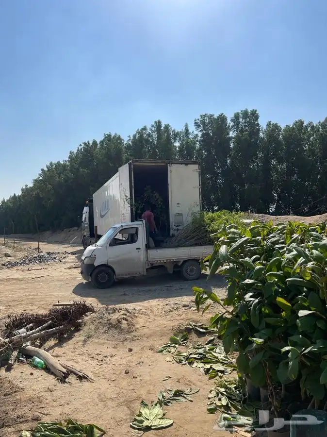مشتل التكامل الخضراء 0533351329 89