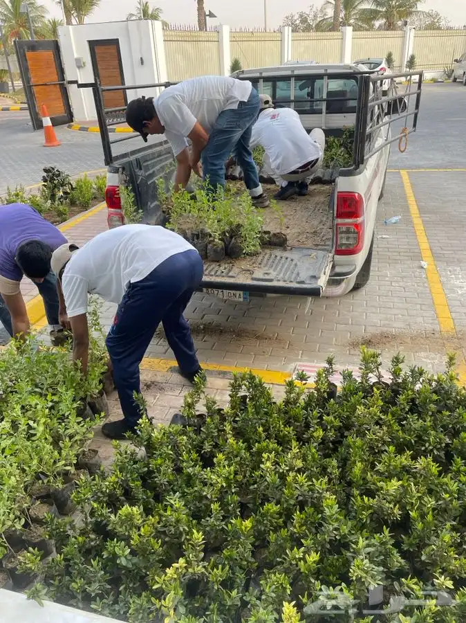 مشتل التكامل الخضراء 0533351329 32