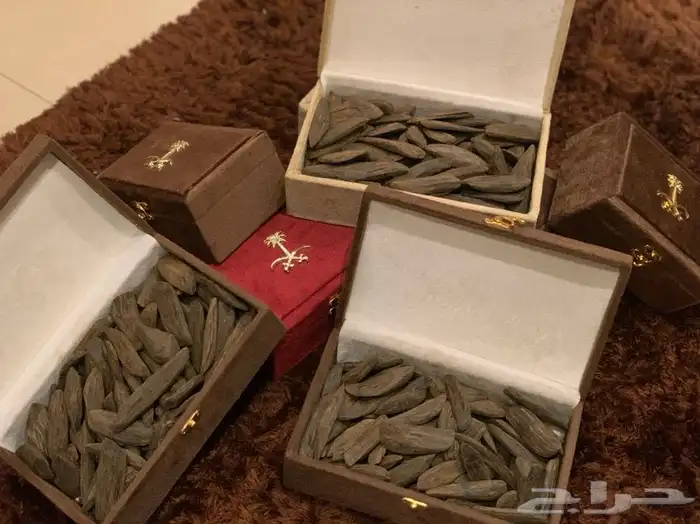 عود طبيعي مروكي موروكي محسن عود تايقر - توزيعات و هدايا سبح 0