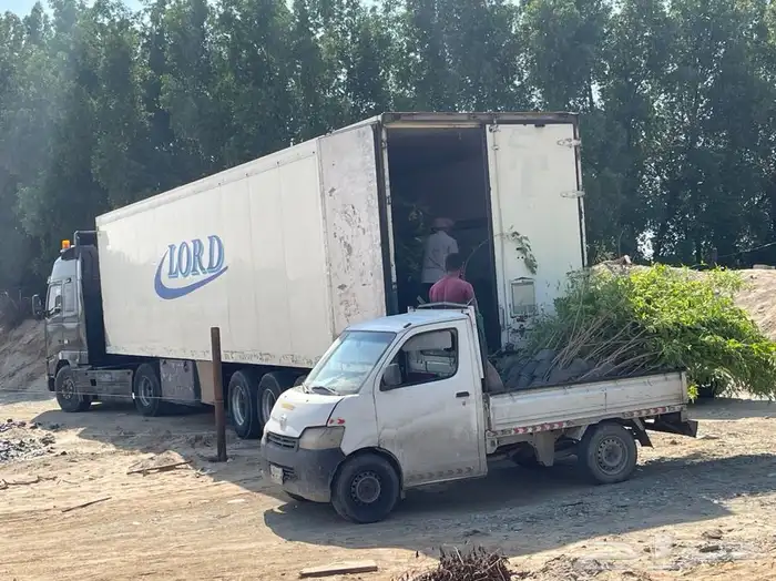 مشتل التكامل الخضراء 0533351329 90