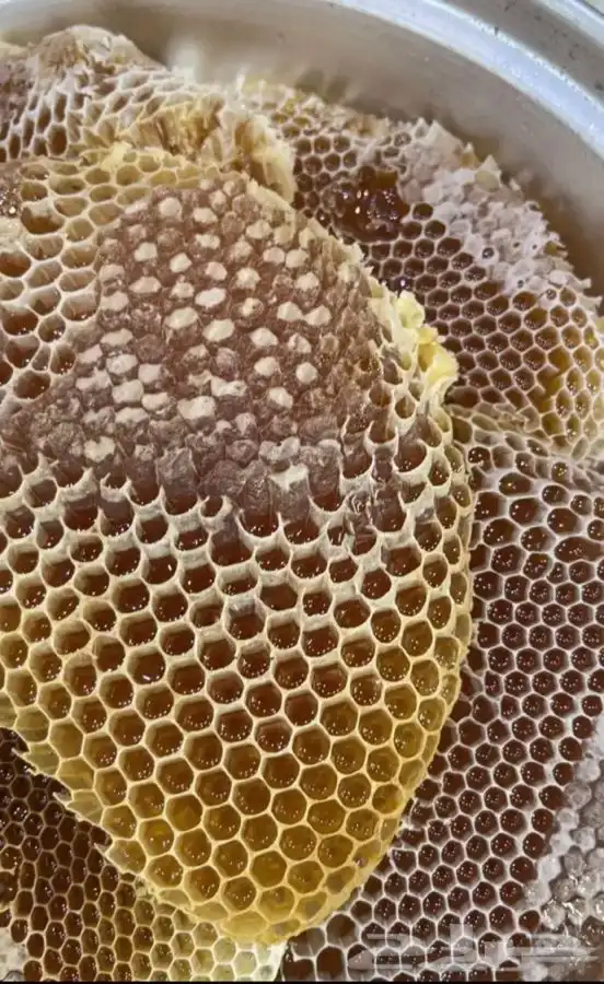 عسل مشروط ومضمون 0