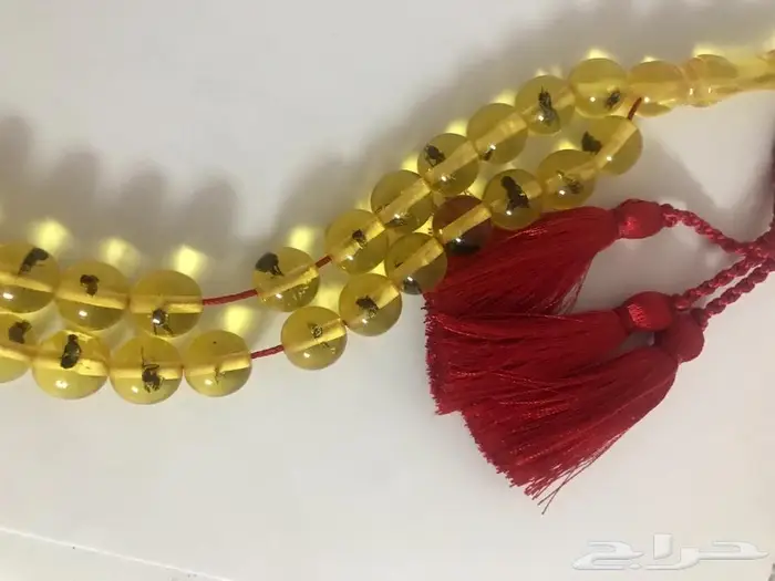 سبحة تراب كهرمان حشرات 0