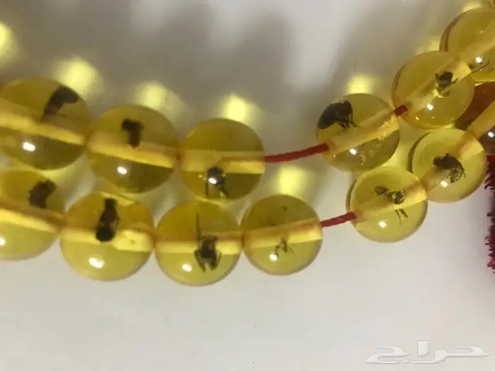 سبحة تراب كهرمان حشرات 1