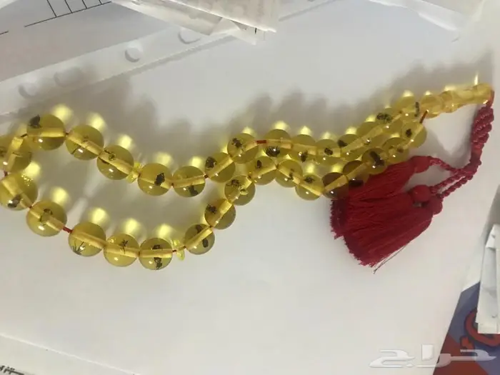 سبحة تراب كهرمان حشرات 2