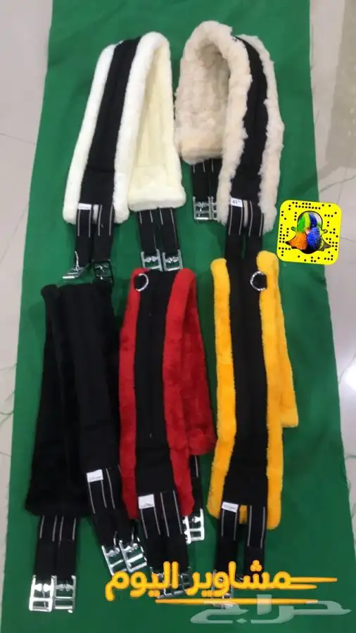 مستلزمات فروسية و الخيل والاسطبلات 24