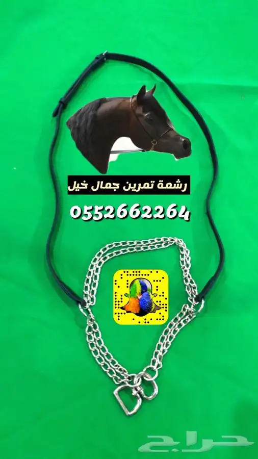 مستلزمات فروسية و الخيل والاسطبلات 26