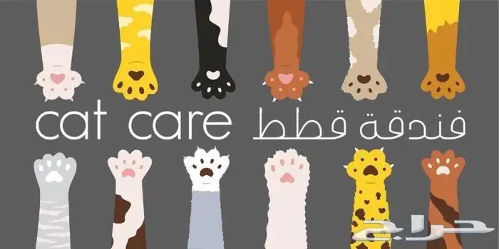 فندقة قطط وطيور - شاهد التقييمات 2